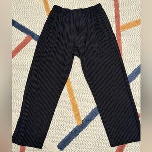 Issey Miyake-like pleated trousers